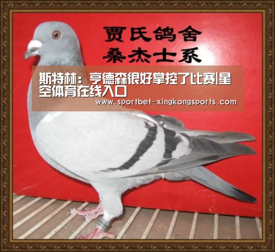 星空体育app