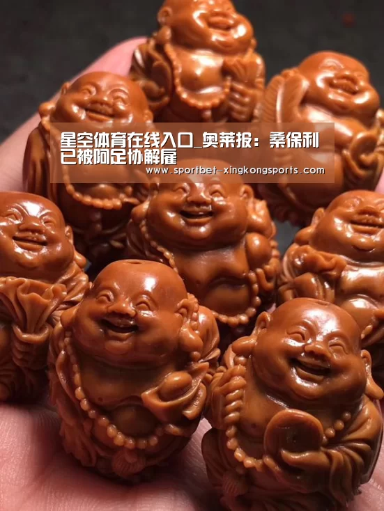 星空体育官网
